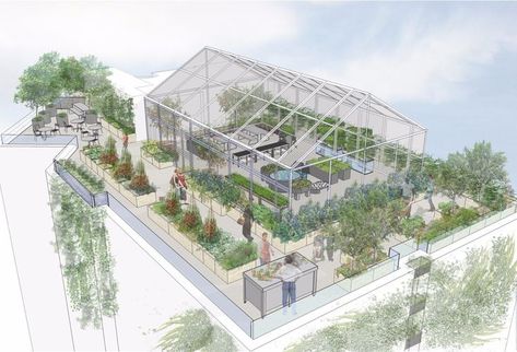 Urban Farming Architecture, Farming Architecture, Eco Farm, Aquaponics Greenhouse, Smart Farm, Student Portfolio, Green Facade, Home Greenhouse, Vertical Farming