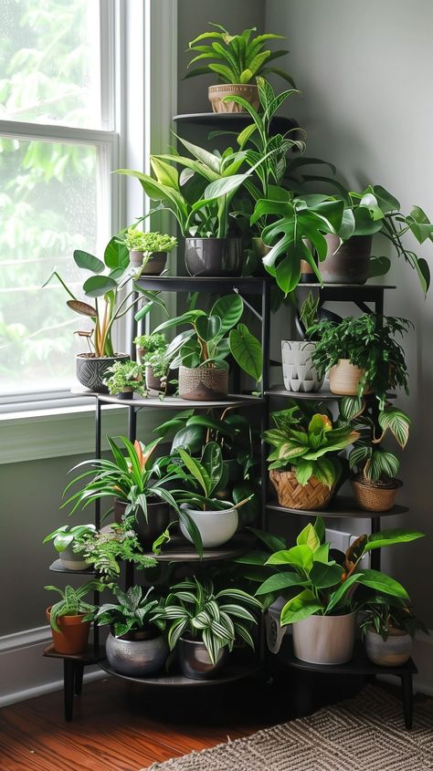 Inside Plants Decor Living Room, Plant Shelf Ideas Living Room, Plant Corner Living Room, Indoor Plant Corner, Plant Display Indoor, Corner Plant Stand Indoor, Corner Plant Stand, Bookshelves Ideas, Corner Stand