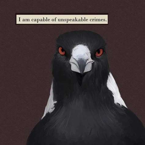 Aaron Bernards, Troubled Birds, Mincing Mockingbird, Bird Quotes, What Do You Meme, Raccoon Funny, Dragon Age Inquisition, Funny Animal Memes, Reaction Memes