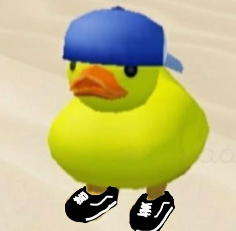 Roblox Duck Pfp, Funny Insta Pfp, Duck Matching Pfp, Roblox Duck, Yoshi Pfp, Silly Matching Pfp, Fun Pfp, Duck Pfp, Goofy Icons