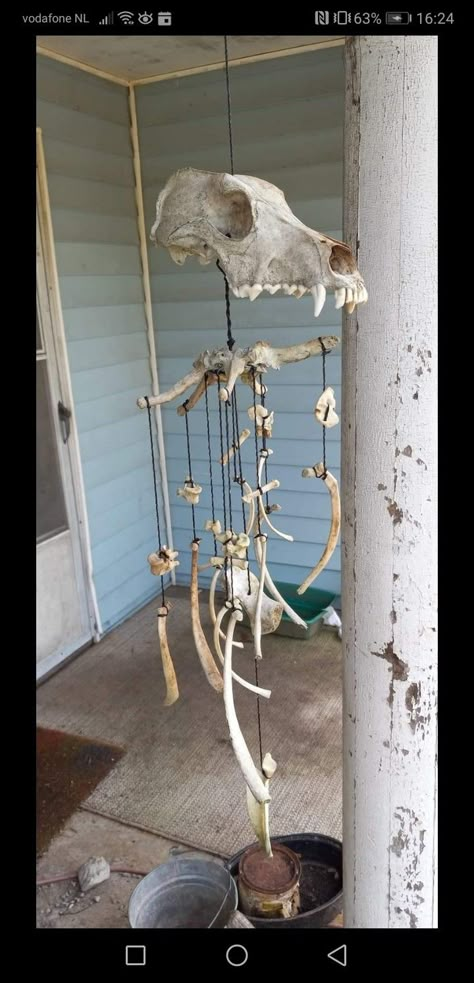 Animal Bones Crafts, Dear Wormwood, Forest Princess, Deer Skull Art, Witchy Diy, Taxidermy Decor, Skull Crafts, Animal Skeletons, Antler Art