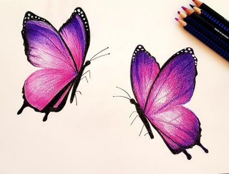 Butterfly Flower Drawing Color, Butterfly Colorful Drawing, Butterfly Coloured Pencil Drawing, Color Pencil Art Butterfly, Butterfly Pencil Color, Butterfly Drawing Pencil Coloring, Color Pencil Butterfly, Colored Pencil Flowers Simple, Colored Pencil Butterfly