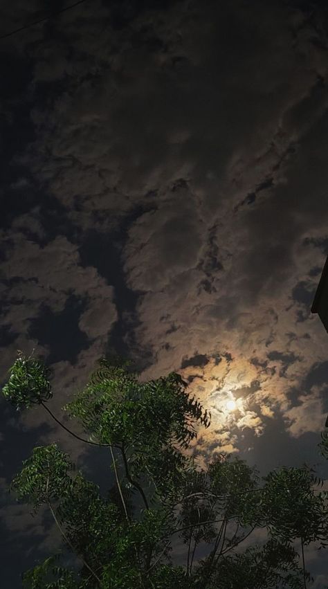 Moonlight Photography, Night Sky Photography, Sky Photography Nature, Dark Nature Aesthetic, Sky Pictures, Night Scenery, Shadow Pictures, Night Landscape, Beauty Nature