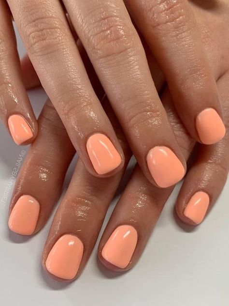 short peach nail design Short Nails Shellac Summer, Short Nail Summer Colors, Pretty Nails For The Beach, Nexgen Nails Ideas Summer, Short Gel Nail Color Ideas, Peach Colored Nail Ideas, Summer Nails 2023 Natural Nail, Gel On Natural Nails Short Summer, Gel Nails No Design