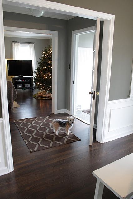 Wood Floors Living Room, Dark Wood Floors Living Room, Dark Wood Living Room, Dark Brown Floor, Wood Floor Colors, Living Room Wood Floor, White Wood Floors, Grey Wood Floors, Room Decor Dark