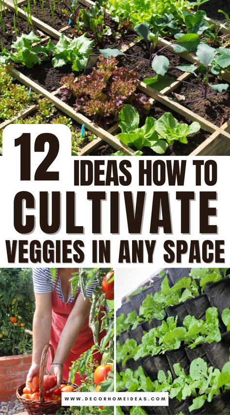 Discover the secrets to designing a vegetable garden that thrives, no matter how much space you have. From tiny balconies to sprawling backyards, this guide covers clever layouts, container gardening tips, and strategic planting tricks to help you grow fresh produce anywhere! Vegetable Garden For Small Backyard, Garden Landscaping Backyard, Landscaping Backyard Ideas, Gardening For Dummies, Cozy Home Ideas, Vegetable Garden Planner, Vegetable Gardening Ideas, Home Tricks, Garden Layout Vegetable