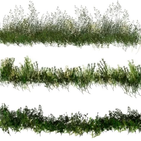 50 Photoshop Brushes of Dynamic Vegetation Plants Photoshop, Grass Photoshop, Photoshop Landscape, Landscape Architecture Graphics, Tree Photoshop, Photoshop Rendering, Photoshop Resources, Beginner Photo Editing, Seni Dan Kraf