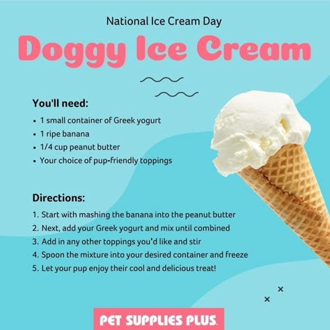 Dog Ice Cream Recipe, Foods Dogs Can Eat, Pet Treats Recipes, Dog Treats Homemade Easy, Easy Dog Treat Recipes, Frozen Dog Treats, Diy Dog Food, Dog Ice Cream, Dog Biscuit Recipes