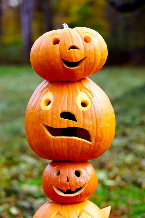 19 Smiling Pumpkin Ideas to Make for the Happiest Halloween Ever Happy Pumpkin Faces, Easy Pumpkin Carving Ideas, Free Pumpkin Carving Patterns, Unique Pumpkin Carving Ideas, Pumpkin Carving Patterns Free, Smiling Pumpkin, Easy Pumpkin Carving, Pumpkin Carving Ideas, Pumpkin Carving Patterns