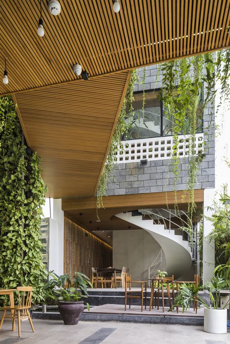 Gallery of Babylon Garden Spa Renovation / Ho Khue Architects - 11 Landscape Resort, Landscape Courtyard, Garden Spa, Medi Spa, Tropical Landscape Design, Air Port, 12 Apostles, Multifunctional Space, Tropical Landscape