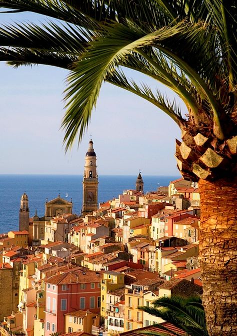 Basilica of Saint-Michel-Archange, Menton, Provence-Alpes-Cote d'Azur, France by Nigel Burkitt via Flickr Menton France, Voyage Europe, French Twist, French Riviera, France Travel, Pretty Places, South Of France, Places Around The World, Places I Want To Go