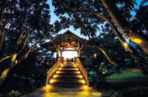 The Restaurant at Hotel Wailea takes fine fare to new heights . . . and our dining editor goes ape. Dream Job Vision Board, Wedding Honey Moon, Honeymoon Bedroom, Hawaii Hotel, Honeymoon Hawaii, Hotels In Hawaii, Wedding Honey, Mauna Kea Beach Hotel, Honeymoon In Hawaii