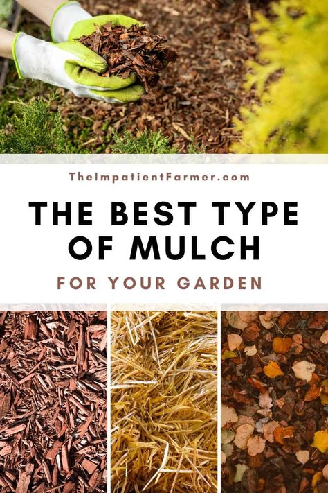 Mulching Vegetable Garden, Best Mulch For Landscaping, Best Mulch For Vegetable Garden, Garden Mulch Ideas, Vegetable Garden Mulch, Mulch Garden, Leaf Mulch, Pinterest Collage, Garden Mulch