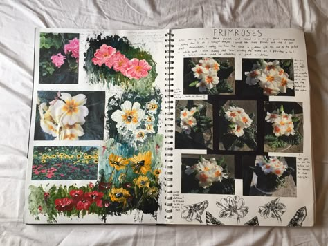 Flower experimentation with acrylic Flower Sketchbook Pages, Flower Art Gcse Sketchbook Ideas, Flower Sketchbook Ideas, Acrylic Sketchbook Ideas, Flower Artists Gcse, Flowers Gcse Art, Experimentation Art Gcse, Art Sketchbook Flowers, Art Portfolio Ideas College