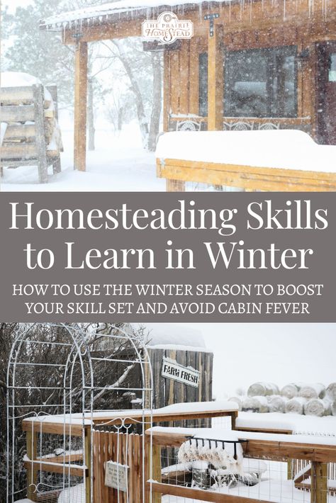 Homesteading In Winter, Winter Homesteading Projects, Mini Homestead Ideas, Basic Homestead Skills, Winter Homestead Projects, Urban Homesteading Aesthetic, Homesteading In The City, Homesteading Skills To Learn, Homestead Must Haves