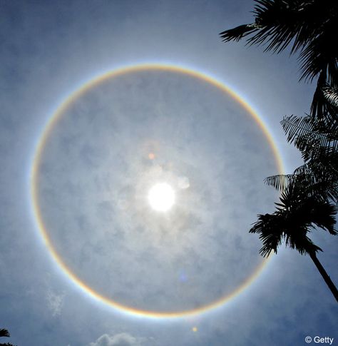 Sun Halo, Sky Gazing, Circle Rainbow, Swimming In The Pool, Sun Dogs, Wild Weather, Fire Rainbow, Spiritual Artwork, Atmospheric Phenomenon