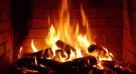 Burning Fireplace Logs GIF - Burning Fireplace Fire Logs - Discover & Share GIFs Fireplace Screensaver, Happy Yule, Fireplace Video, Christmas Desktop, Christmas Wallpaper Iphone, Log Fires, Yule Log, Wallpaper Computer, Smooth Jazz