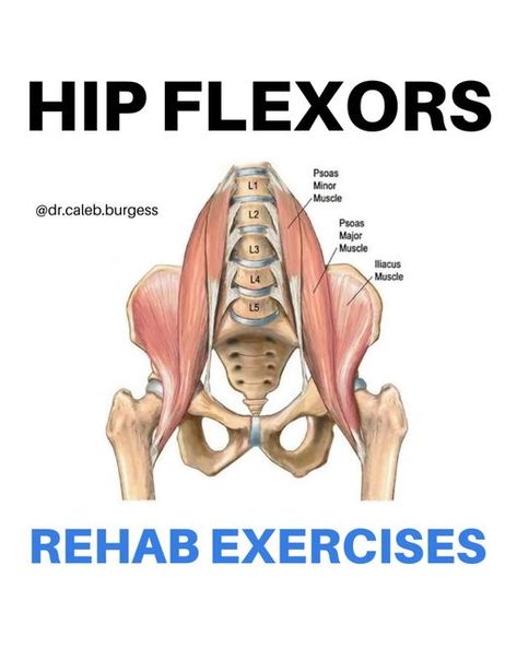 Dr. Caleb Burgess DPT OCS CSCS on Instagram: "💥Hip Flexors💥 🚨 𝗠𝘆 𝗔𝗣𝗣 is 𝗟𝗜𝗩𝗘! ➡️ tap on the link at the top of my page @dr.caleb.burgess for your 𝟳-𝗗𝗔𝗬 𝗙𝗥𝗘𝗘 𝗧𝗥𝗜𝗔𝗟! 🎯 The hip flexors are a group of muscles located in the front of the hip that work together to flex the hip joint, or bring the thigh towards the torso 🚶🏼 The primary functions of the hip flexors include: 1️⃣ Walking and running: they lift the leg forward during the swing phase of gait, which is essential f Snapping Hip Syndrome, Hip Anatomy, Hip Flexor Pain, Free Weight Workout, Hip Flexor Exercises, Yoga Inspiration Quotes, Yoga Poses Advanced, Hip Flexor Stretch, Tight Hip Flexors