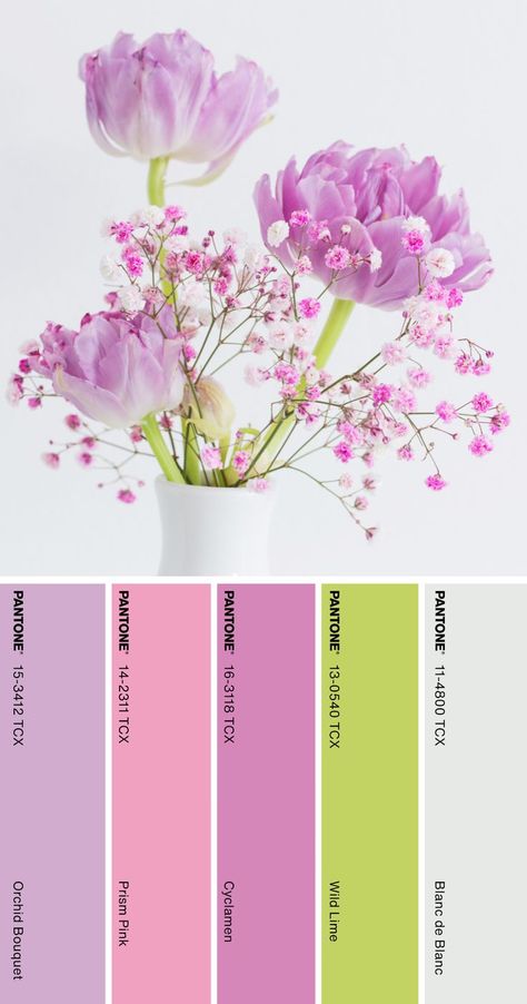 Pink Lavender Color Palette, Spring Crocus Pantone, Orchid Colour Palette, Mother’s Day Color Palette 2024, Floral Color Pallete, Mother's Day Color Palette, Floral Color Palette Colour Schemes, Purple Pink Green Color Palette, Mothers Day Color Palette