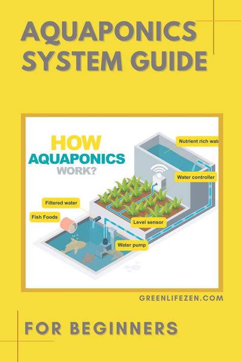 Best Fish For Aquaponics, Montessori Outdoor, Aeroponic Gardening, Best Garden Design, Indoor Aquaponics, Aquaponics Greenhouse, Backyard Aquaponics, Aquaponics Fish, Aqua Culture