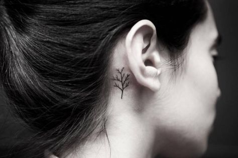 Tiny tree tattoo behind the right ear. Paintnite Ideas, Tiny Tree Tattoo, Inner Ear Tattoo, Tattoo Tiny, Read Quotes, Tiny Tree, Dandelion Tattoo, Presentation Ideas, Cute Tiny Tattoos