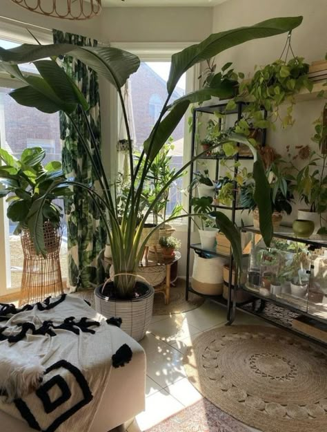 Lots Of Plants, Future Apartment Decor, House Plants Decor, Bohemian Living, Aesthetic Rooms, Room With Plants, Plants Decor, Apartment Decor Inspiration, House Plants Indoor