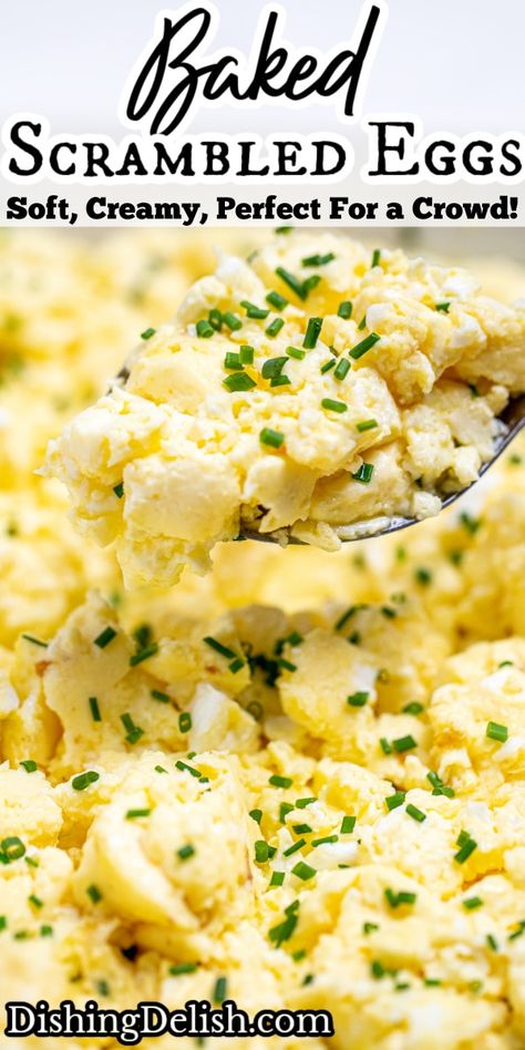 Ihop Scrambled Eggs, Hotel Eggs Recipe, Cheesy Scrambled Eggs For A Crowd, Making Scrambled Eggs For A Crowd, Buffet Scrambled Eggs, The Best Scrambled Eggs Ever, Make Ahead Eggs For A Crowd, Egg Brunch Ideas For A Crowd, Scrambled Egg Recipes For A Crowd