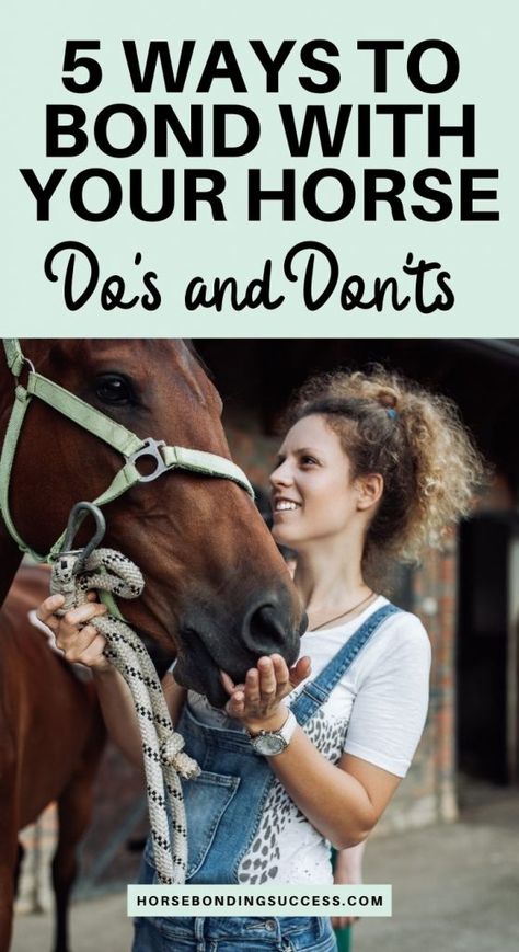 5 Ways to Bond With Your Horse (Bonding Do’s and Don’ts) – Horse Bonding Success Bonding With Your Horse, Bonding Exercises With Your Horse, Horse Bonding Exercises, Holistic Horse Care, How To Put A Bridle On A Horse, Horse Personality Types, Bonding With Horse, How To Bond With Your Horse, Horse Bonding