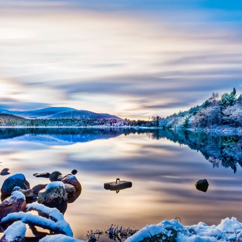 A beautiful picture of Loch Morlich, Aviemore, Scotland. Anyone ever been to Aviemore? #aviemore #lochmorlich #scotland #scottishbeauty #ilovescotland #inlovewithscotland Loch Morlich, Aviemore Scotland, Book Research, Store Image, Beautiful Picture, My Images, Beautiful Pictures, Scotland, A Place