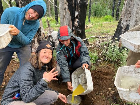 Idaho Conservation Corps Conservation Corps Aesthetic, Hiking Core, Camp America, Conservation Corps, Going On A Bear Hunt, Bear Hunt, Wildlife Biologist, Camping Summer, Much Ado About Nothing