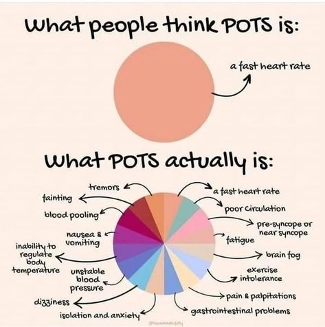 Did you know that after 2020 (I don’t think any of us need reminded about that year) the number of cases of POTS has doubled affecting a now estimated 6 million Americans! 🥺 POTS (postural orthostatic tachycardia syndrome), is a form of dysautonomia, a group of conditions caused by a dysfunction of the autonomic nervous system. The autonomic nervous system is a branch of the nervous system, that regulates body functions that should occur automatically such as blood pressure, heart rate, br... Pots Diet, Pots Symptoms, Autonomic Nervous System Dysfunction, Pots Awareness, Autoimmune Disease Symptoms, Illness Humor, Dysautonomia Awareness, Dysautonomia Pots, Spoonie Life