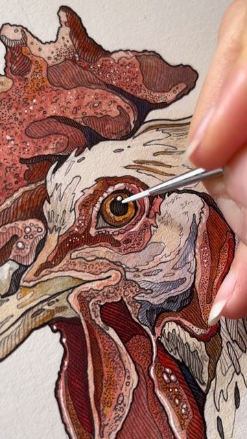 Rooster Ink Drawing, Watercolor And Pen Art Animals, Watercolor And Ink Paintings, Animal Ink Drawing, Irene Meniconi Art, Artist Scrapbook, Rooster Sketch, Irene Meniconi, Colored Pencil Projects