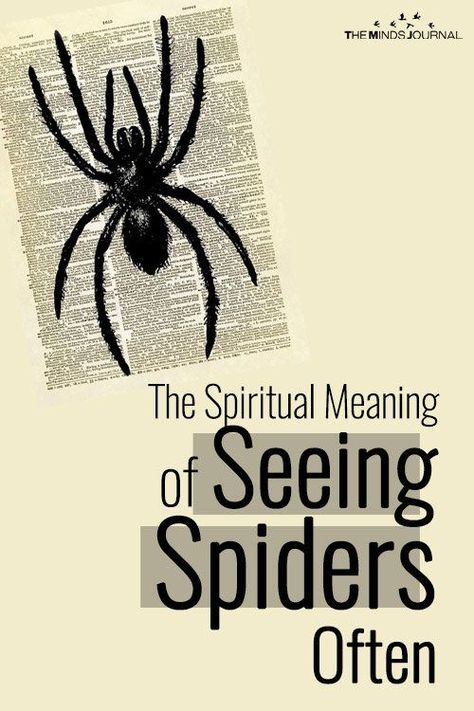 The Spiritual Meaning of Seeing A Spider Often Spiders Symbolism, Spider Symbolism Meaning, Tree Of Life Meaning Spiritual, Spider Meaning, Spider Symbolism, Spiritual Symbols And Meanings, Spider Totem, Spider Quotes, Wicca Halloween