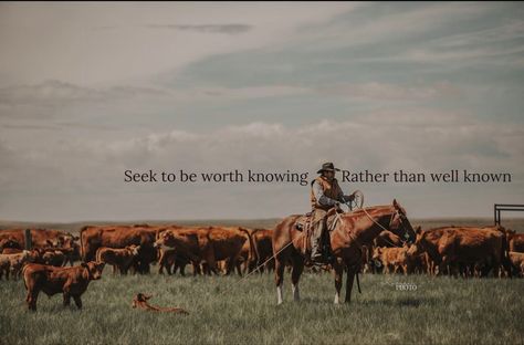 Western Quotes, Cowboy Quotes, Cowgirl Quotes, Cowboy Aesthetic, Senior Quotes, Country Quotes, Cowboy Up, 11k Followers, Western Aesthetic