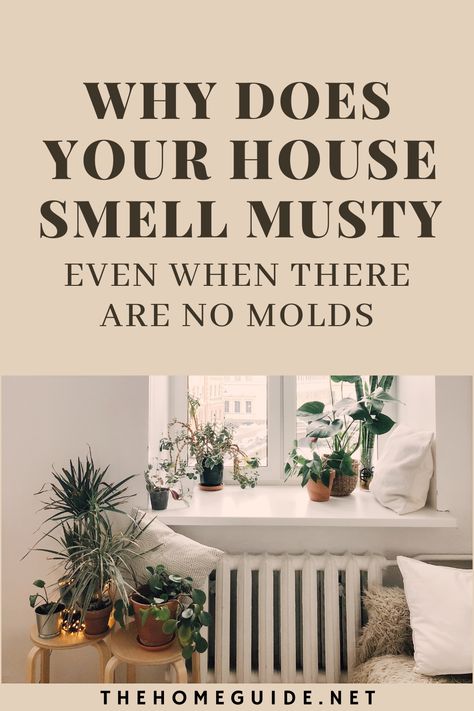 Deodorize House, Musty Smell In House, Old House Smells, Basement Odor, Smell Good Naturally, Clean House Smell, Mold Smell, Make Your House Smell Good, Make Your House Smell Amazing