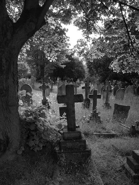 Hither Green Cemetery is a large cemetery located on Verdant Lane, in Whitefoot, London, England. The cemetery is situated between Catford, Hither Green, Grove Park and Lee. Creepy Cemetery, Old Cemetery, Cemetery Headstones, Old Cemeteries, Cemetery Art, Last Ride, Horror Tattoo, Gothic Aesthetic, Six Feet Under