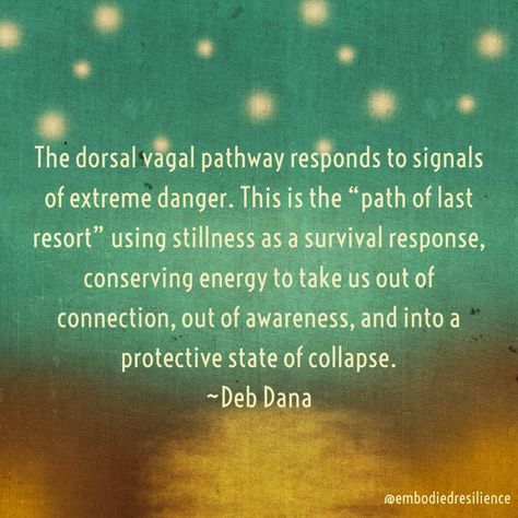 Deb Dana Polyvagal, Dorsal Vagal Shutdown, Dorsal Vagal, Be Still Quotes, Mens Mental, Polyvagal Theory, Therapy Notes, The Vagus Nerve, Nervous System Regulation