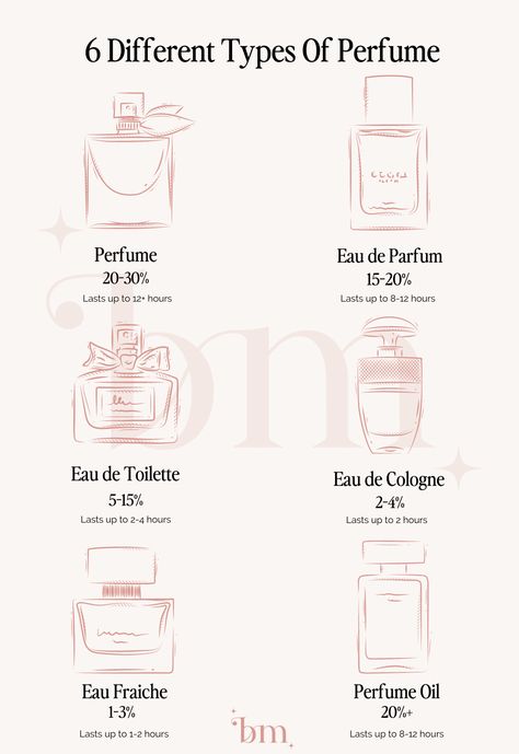 Types Of Fragrance, Perfume Differences, Where To Apply Perfume For Women, Perfume Placement, Perfume Scents Chart, Perfume Types, Types Of Perfume, Best Fragrances For Women, Perfume Guide