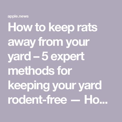 How to keep rats away from your yard – 5 expert methods for keeping your yard rodent-free — Homes & Gardens Tree Rat, Getting Rid Of Rats, Outside Ideas, What Can I Do, Outdoor Planters, Rodents, Rats, Mice, Planting Flowers