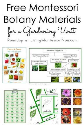 Roundup of free botany materials for homeschools and classrooms; free plant printables for a variety of ages - Living Montessori Now #Montessori #homeschool #preschool #kindergarten #gardening #botany Free Plant Printables, Montessori Homeschool Preschool, Montessori Garden, Botany Lessons, Montessori Botany, Garden Unit, Montessori Science, Montessori Printables, Montessori Elementary