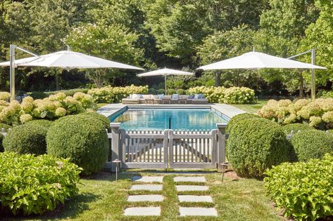 Garden Home | Hollander Design Simple Backyard Pool, Pool Hardscape, Pool Fence Ideas, Pool Goals, Country Pool, Backyard Pool Design, Pools Backyard Inground, Pool Landscape, Small Swimming Pools