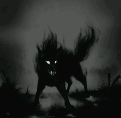 Shadow Creatures Art, Fantasy Shadow Creature, Shadow Wolf Art, Hell Aesthetic Dark, Hell Hound Art, Shadow Creature Art, Hellhound Aesthetic, Hellhound Art, Shadow Animals