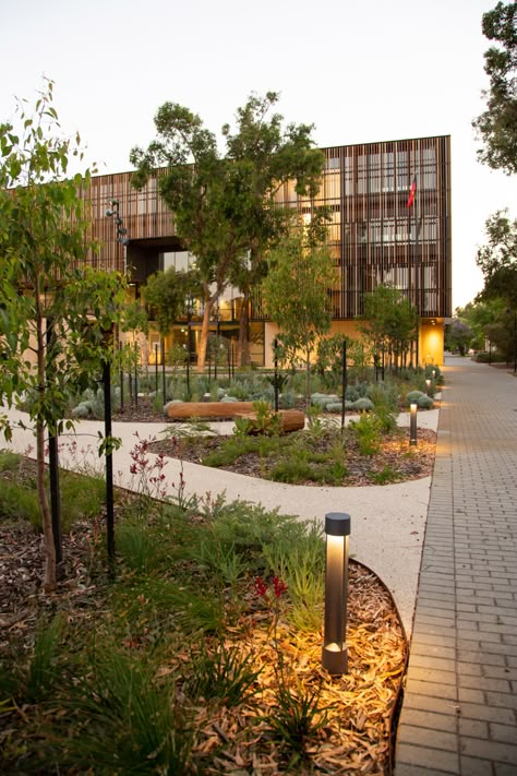 Bilya Marlee - a healing environment in Perth — LANDSCAPE ARCHITECTURE AOTEAROA University Of Western Australia, Campus Landscape, Indigenous Studies, Healing Environment, Commercial Landscaping, Urban Landscape Design, Healing Garden, Landscape And Urbanism, Landscape Architecture Design