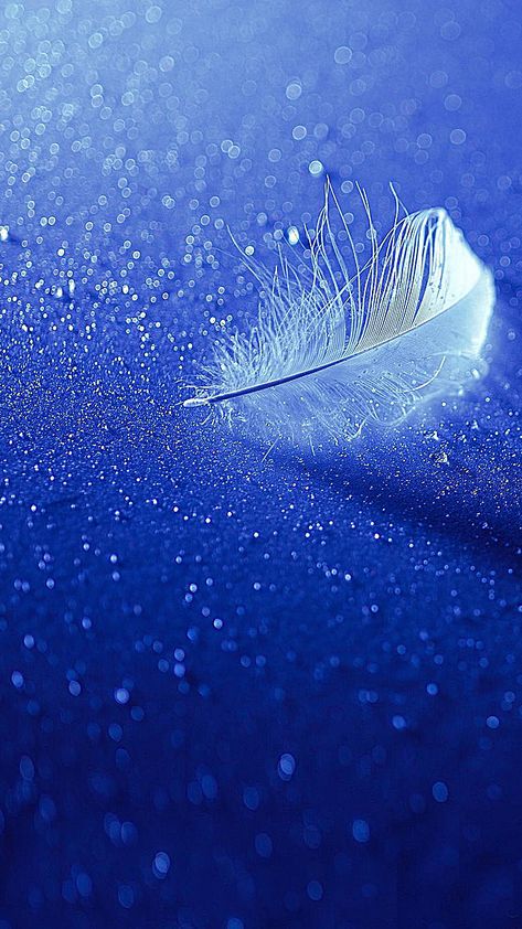 Miracle Background, Angels Wallpaper, Feathers Wallpaper, Feather Background, Liquid Light, Blue Background Wallpapers, Cellphone Background, Feather Wallpaper, Blue Feathers