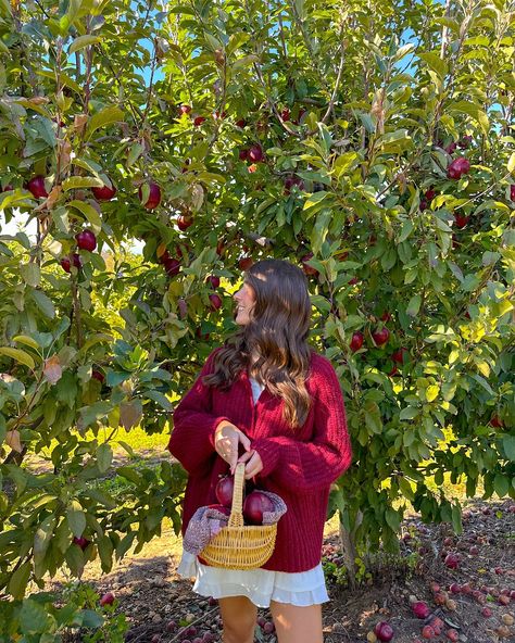 the apple to my pie🍎🧺🍁🤎 #fallaesthetic #fallvibes #falloutfit #falloutfits #fallfashion #fallseason #fallstyle #applepicking #appleorchard Fall Photo Inspiration, Annalise Core, Apple Picking Aesthetic, Apple Orchard Pictures, Downtown Clothes, Pumpkin Cream Cold Foam, Outfits September, Fall Pic Ideas, Sunsets Aesthetic