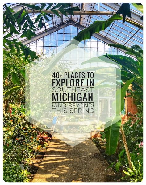 The post below is sponsored by the Michigan Wildlife Council. All opinions expressed belong to Michigan Activities, Michigan Day Trips, Michigan Travel Destinations, Michigan Adventures, Michigan Road Trip, Michigan Vacations, Michigan Travel, Arizona Travel, Pure Michigan