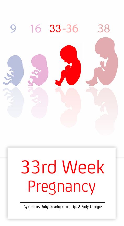 Are you now 33 weeks pregnant and in the third trimester? If yes, then you need to be extra careful in this crucial time. It is a vital stage of pregnancy as, during the phase, your baby grows & develops. Baby Stages Of Development, Baby Development Chart, Stages Of Baby Development, Little Miss Princess, Baby Development Milestones, Get Well Soon Messages, 33 Weeks Pregnant, 34 Weeks Pregnant, 31 Weeks Pregnant