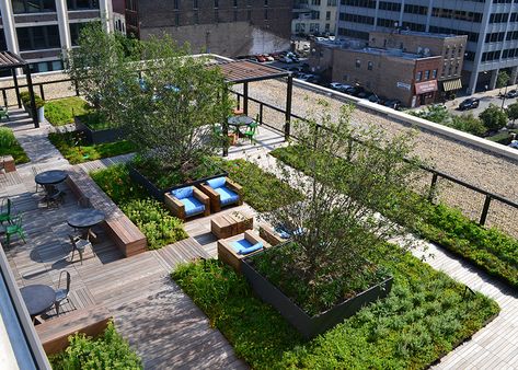 Green Roof Design, Roof Landscape, Green Roof Garden, Roof Decks, Roof Garden Design, Green Terrace, Urban Landscape Design, Rooftop Terrace Design, Rooftop Design