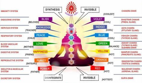 How To Read Auras, Read Auras, Healing Rooms, Sauna Yoga, Color Therapy Healing, Vibrational Medicine, Chakra Health, Therapy Healing, Color Healing