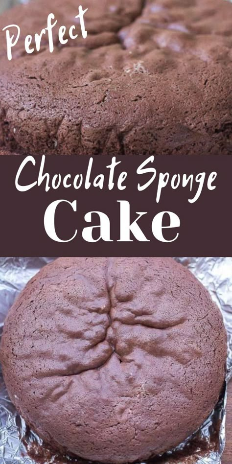 Chocolate Cake Sponge, Chocolate Sponge Cake Recipe Moist, Spongy Cakes Recipe, Chocolate Sponge Cake Recipe Easy, Sponge Cake Recipe Best, Chocolate Sponge Cake Recipe, Cakes Coconut, Cakes Strawberry, Cakes Vanilla